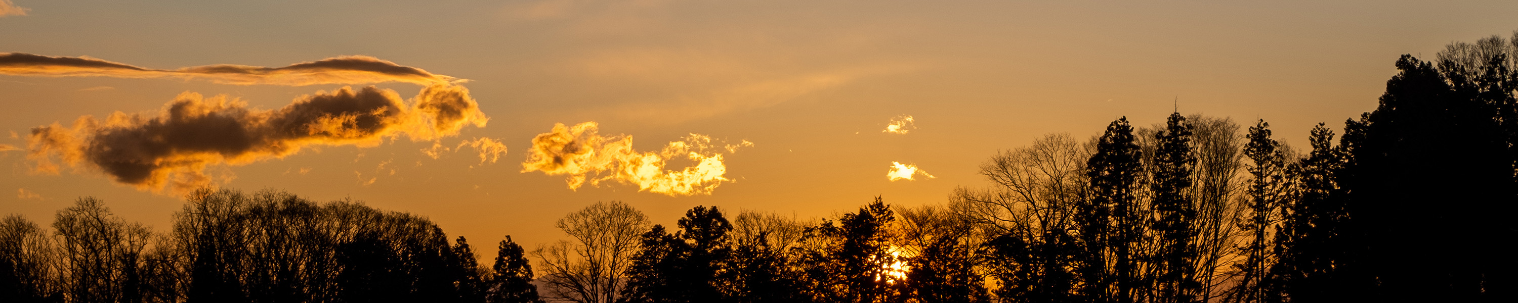 photo of sunset at golf course