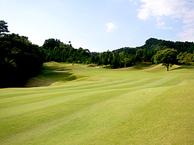 photo from the Hole 11