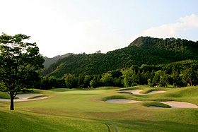 photo from the hole15