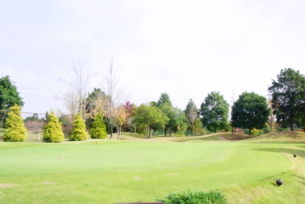 Putting Green